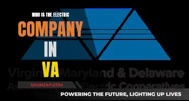 Electric Company in Virginia: Who Powers the State?