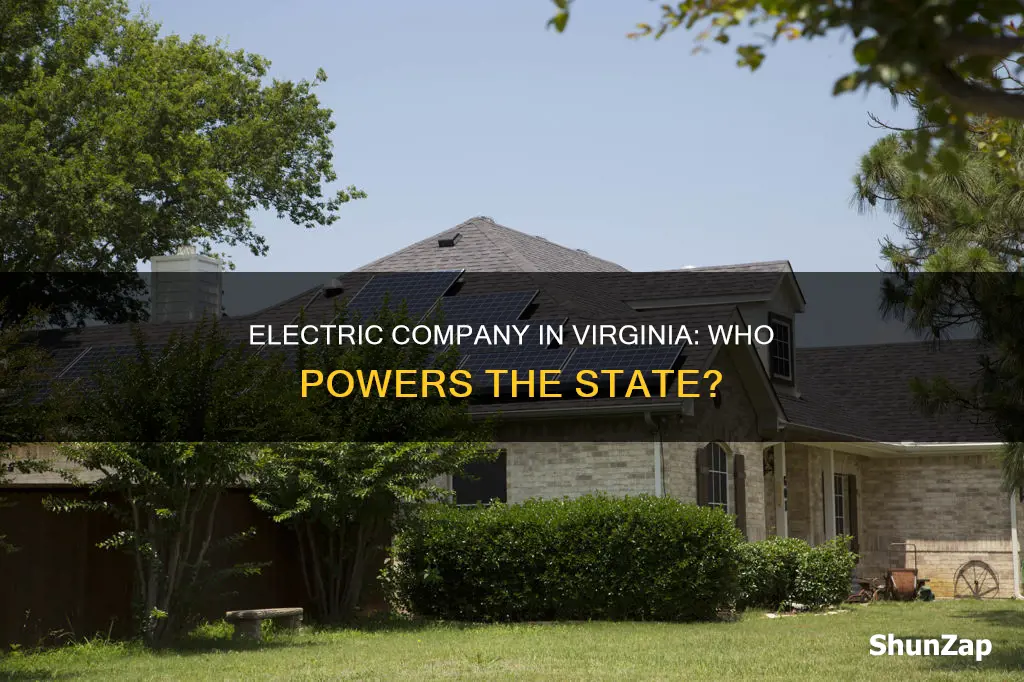 who is the electric company in va