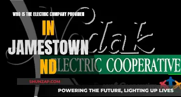 Jamestown's Electric Power: Who's the Provider?