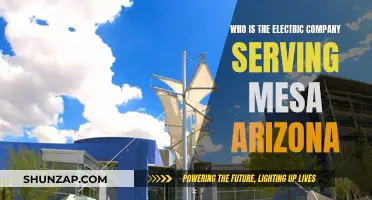 Mesa's Electric Power: Who's Providing the Spark?