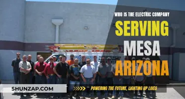 Mesa, Arizona's Electric Company: Who Powers the City?