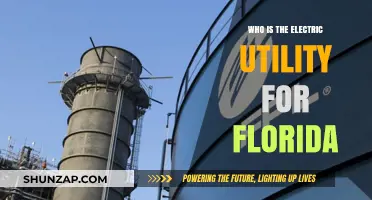 Florida's Electric Utility: Who Powers the Sunshine State?