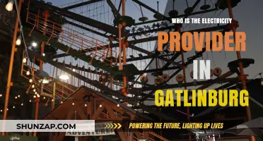 Electricity Provider for Gatlinburg: Who Powers the City?