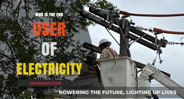 The End User of Electricity: Who Benefits?