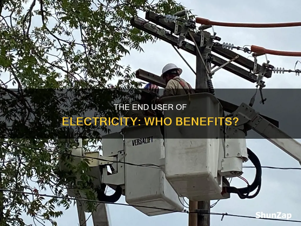 who is the end user of electricity