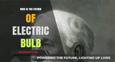 The Father of the Electric Bulb: Edison's Bright Idea