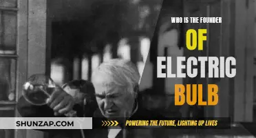 The Bright Idea: Inventor of the Electric Bulb