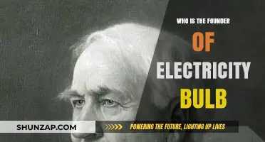 The Electric Bulb Pioneer: A Bright Idea's Origin