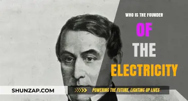 The Spark of Electricity: A Founding Story