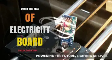 Leadership in Energy: Who's at the Helm?
