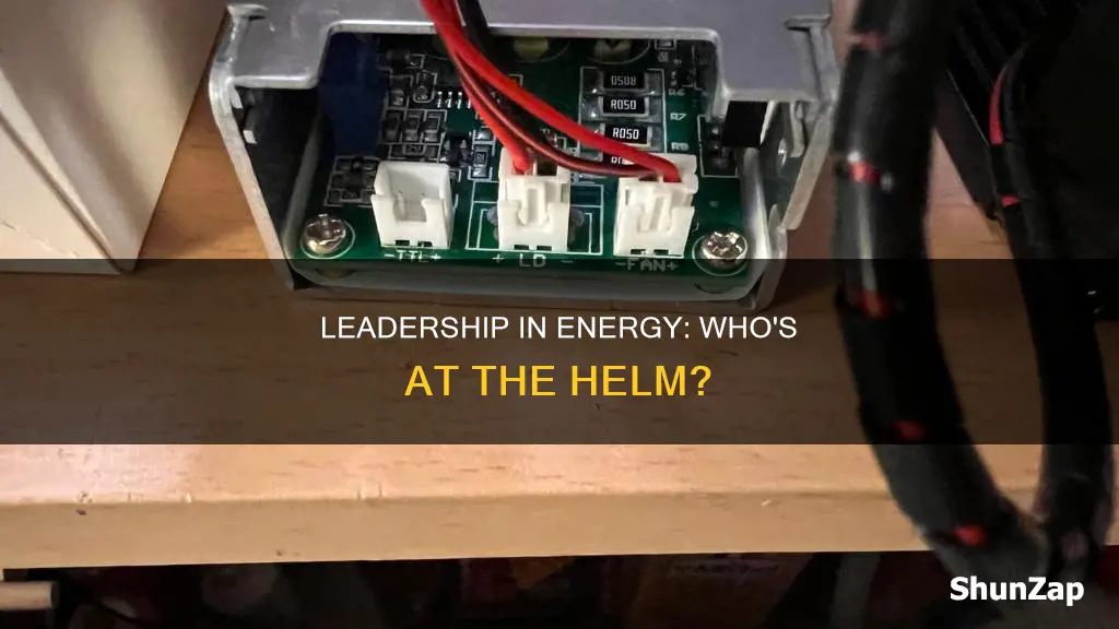 who is the head of electricity board