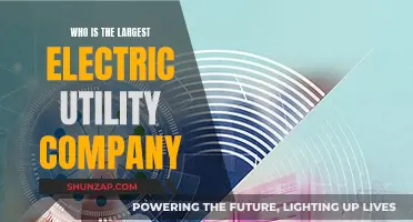 The Largest Electric Utility Company: A Global Powerhouse