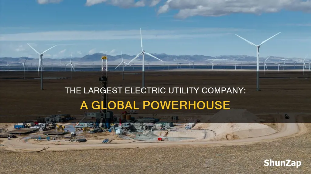 who is the largest electric utility company
