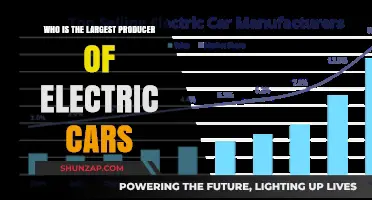 Leading the Charge: The World's Top Electric Car Manufacturer