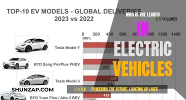 The Race to the Top: Who Reigns in Electric Vehicles?