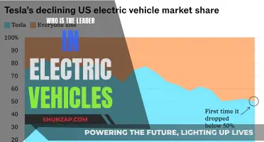 Electric Vehicle Leader: Who's Revolutionizing the Industry?