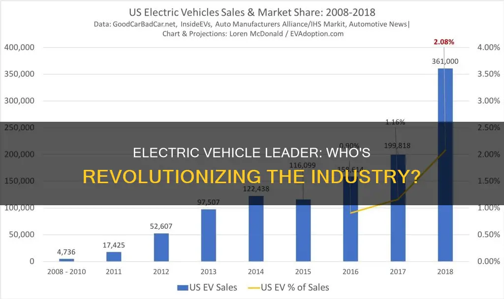 who is the leader in electric vehicles