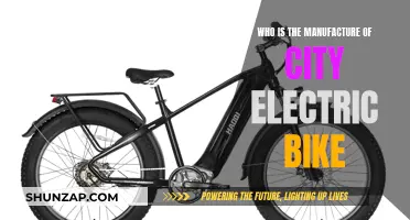 Electric Bike Manufacturer: Exploring City-Based Commute Innovations