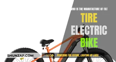 Fat Tire Electric Bike: Who Makes the Best?