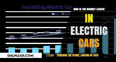 Dominating the Electric Vehicle Market: Who Leads the Charge?