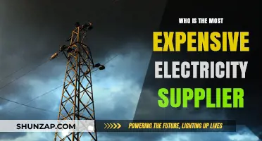 Costly Electricity: Who's the Most Expensive Supplier?