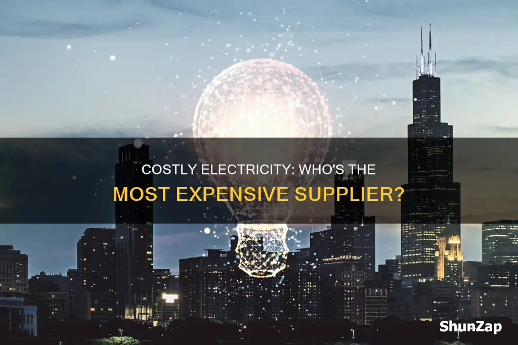 who is the most expensive electricity supplier