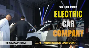 The Next Electric Car Giant: Who Will Dominate the EV Market?