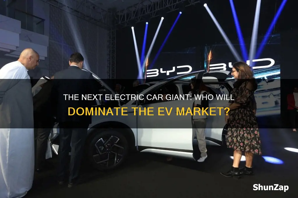 who is the next big electric car company