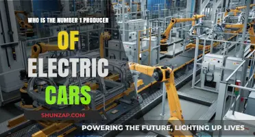 Leading the Charge: Who Dominates Electric Car Production Globally?