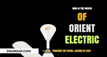 Orient Electric: Who Owns the Popular Fan Company?