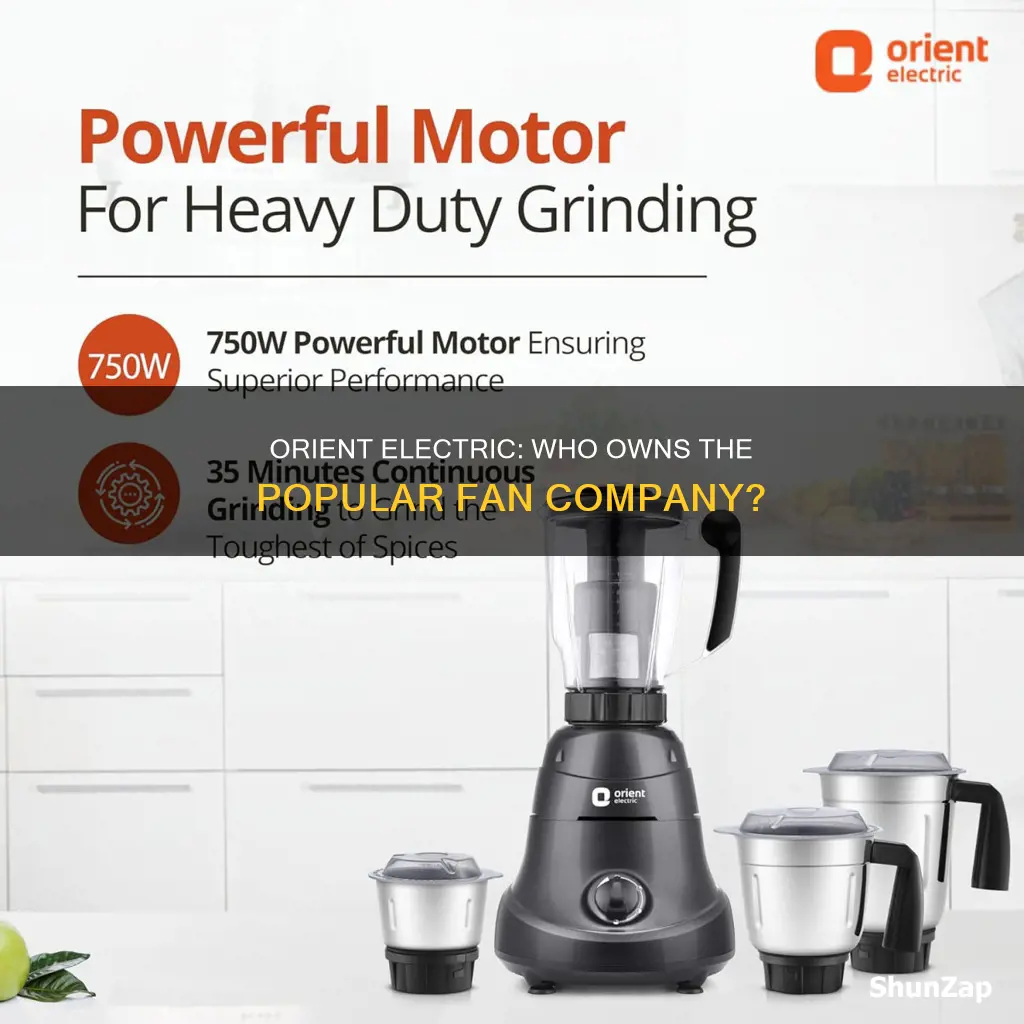 who is the owner of orient electric
