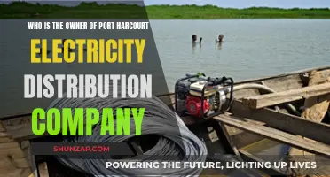 Owner of Port Harcourt Electricity Distribution Company Revealed