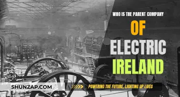 Unveiling the Parent Company: Who Owns Electric Ireland?