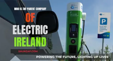 Electric Ireland's Parent Company: Who Owns the Energy Provider?
