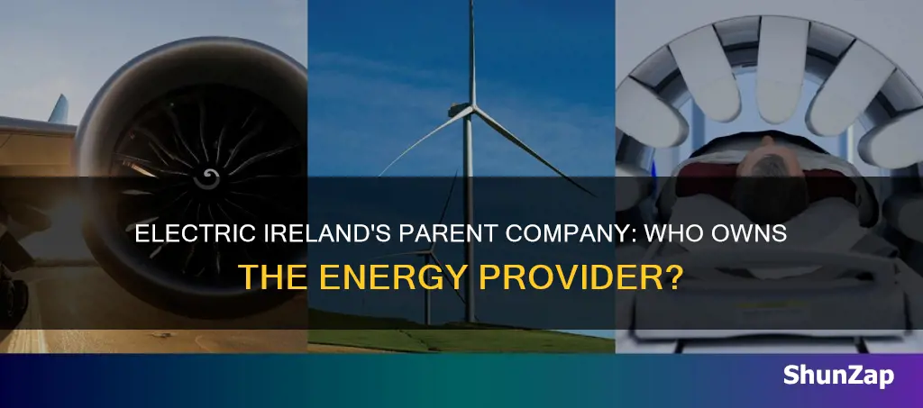 who is the parent company of electric ireland