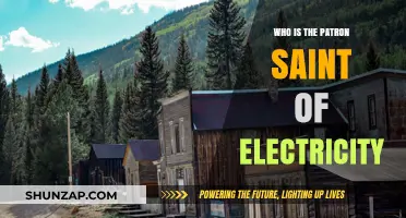 Saint of Electricity: Who's the Patron?