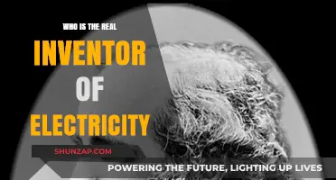 The True Story Behind Electricity's Invention