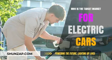 Who Buys Electric Cars? Understanding the Target Market for EVs