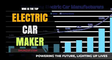 Leading the Charge: Who Dominates the Electric Car Market Today?