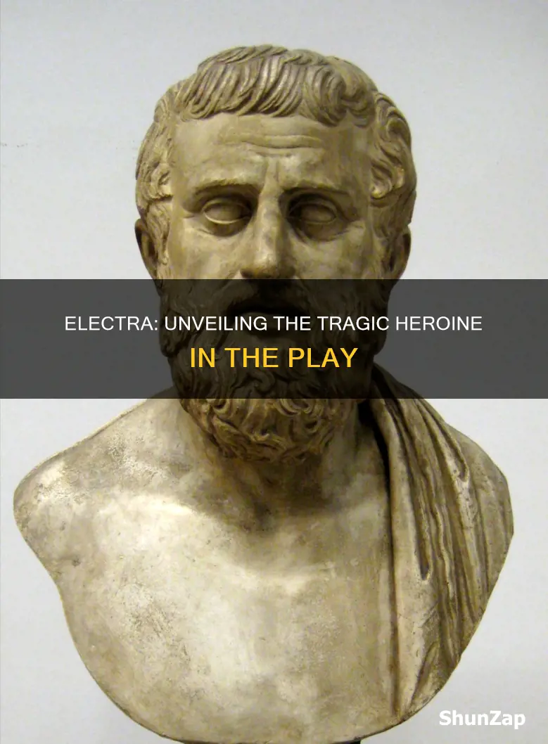 who is the tragic hero in electra