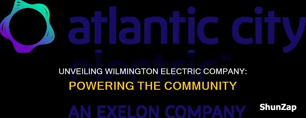 who is wilmington electric company