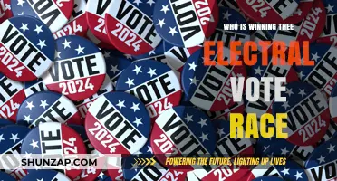 Who Leads the Electoral Vote Race?
