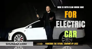 Elon Musk's Allies in the Electric Car Revolution: Who's Backing Him?