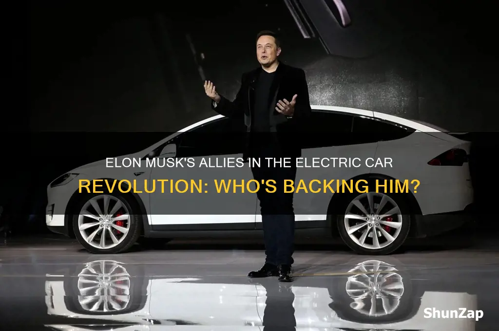 who is with elon musk side for electric car