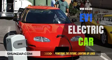 The EV1's Demise: Uncovering the Truth Behind Its Downfall