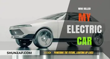 The Mysterious Demise of My Electric Car: Uncovering the Truth