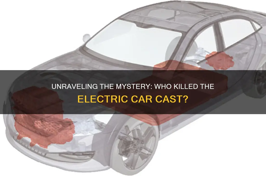 who killed the electric car cast
