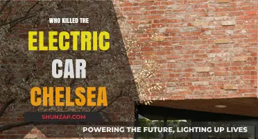 Who Killed the Electric Car in Chelsea? Uncovering the Truth