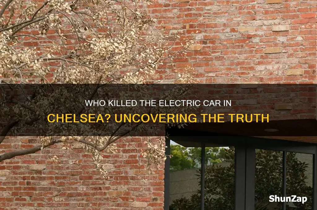 who killed the electric car chelsea
