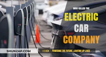 The Downfall of Electric Car Companies: Uncovering the Hidden Truth